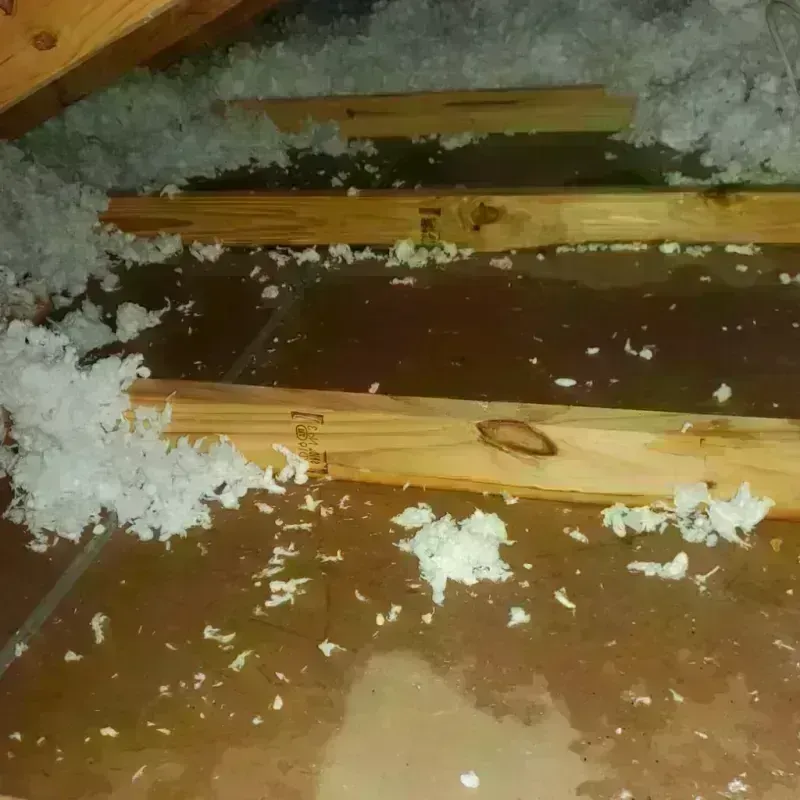 Attic Water Damage in Lansing, MI