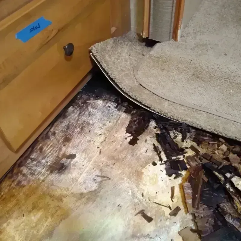 Wood Floor Water Damage in Lansing, MI